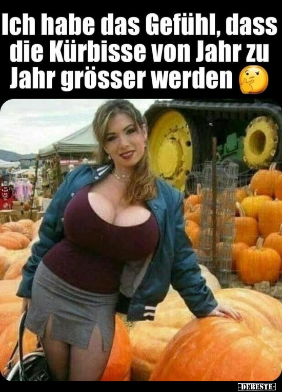 Ich habe das Gefühl, dass die Kürbisse von Jahr zu Jahr..