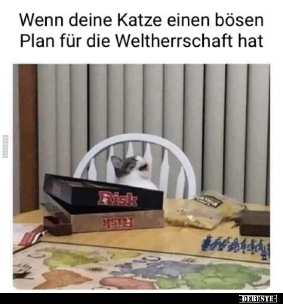 Wenn deine Katze einen bösen Plan für die Weltherrschaft.. - Lustige Bilder | DEBESTE.de