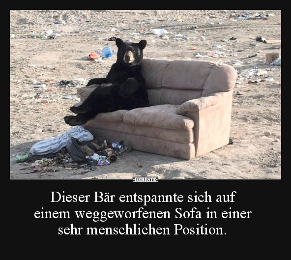 Dieser Bär entspannte sich auf einem weggeworfenen Sofa... - Lustige Bilder | DEBESTE.de
