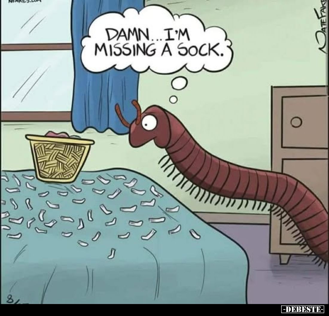 Damn... I'm missing a sock.