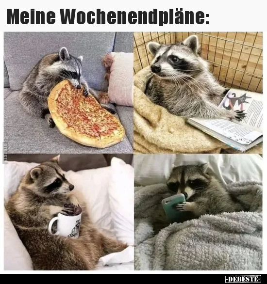 Meine Wochenendpläne.. - Lustige Bilder | DEBESTE.de