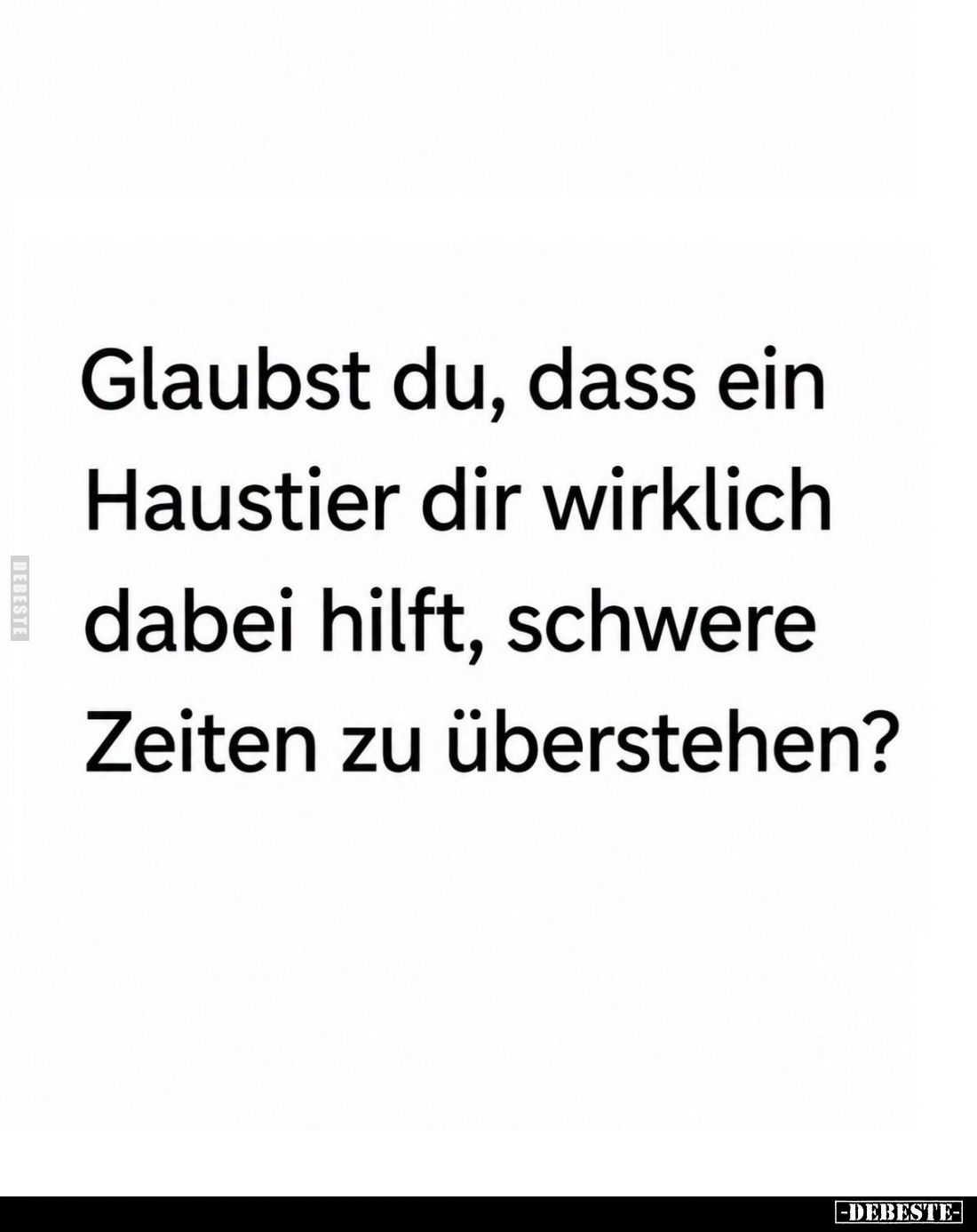 Glaubst du, dass ein
Haustier dir wirklich
dabei hilft, schwere
Zeiten zu überstehen?