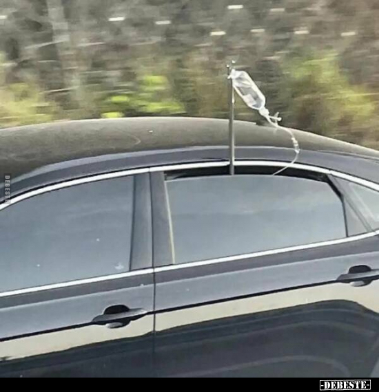  - Lustige Bilder | DEBESTE.de