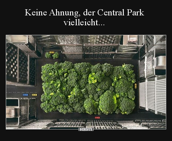 Keine Ahnung, der Central Park vielleicht