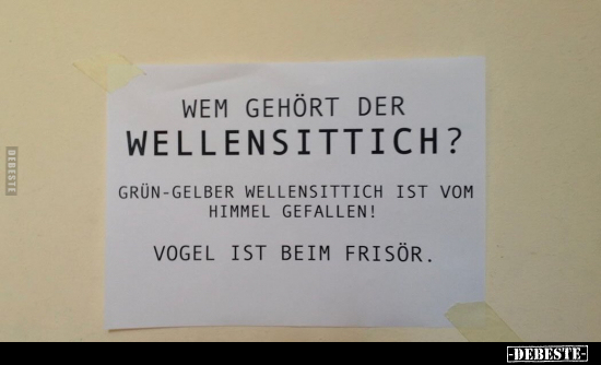 Wem gehört der Wellensittich?.. - Lustige Bilder | DEBESTE.de