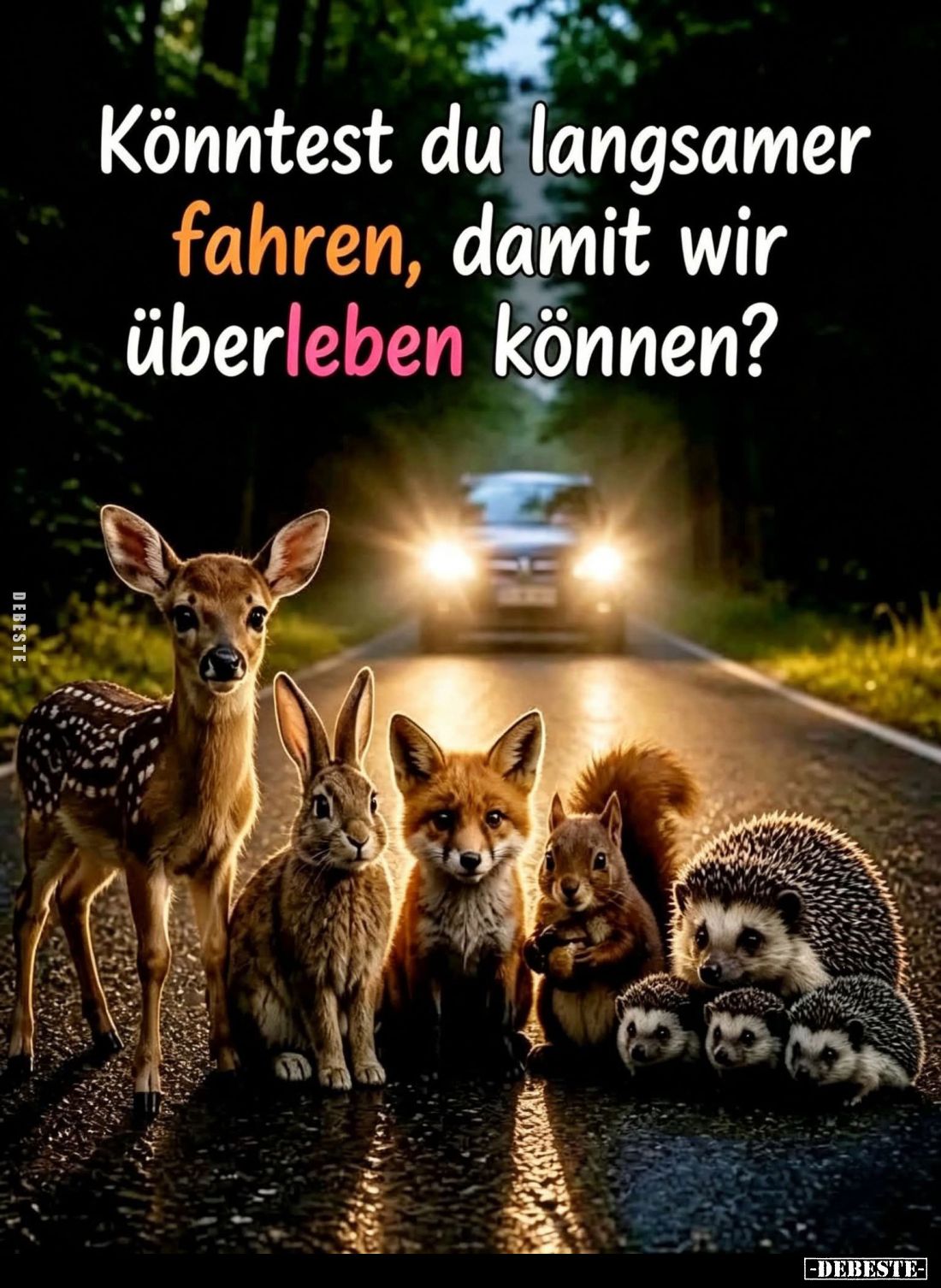 Könntest du langsamer fahren, damit wir überleben können?