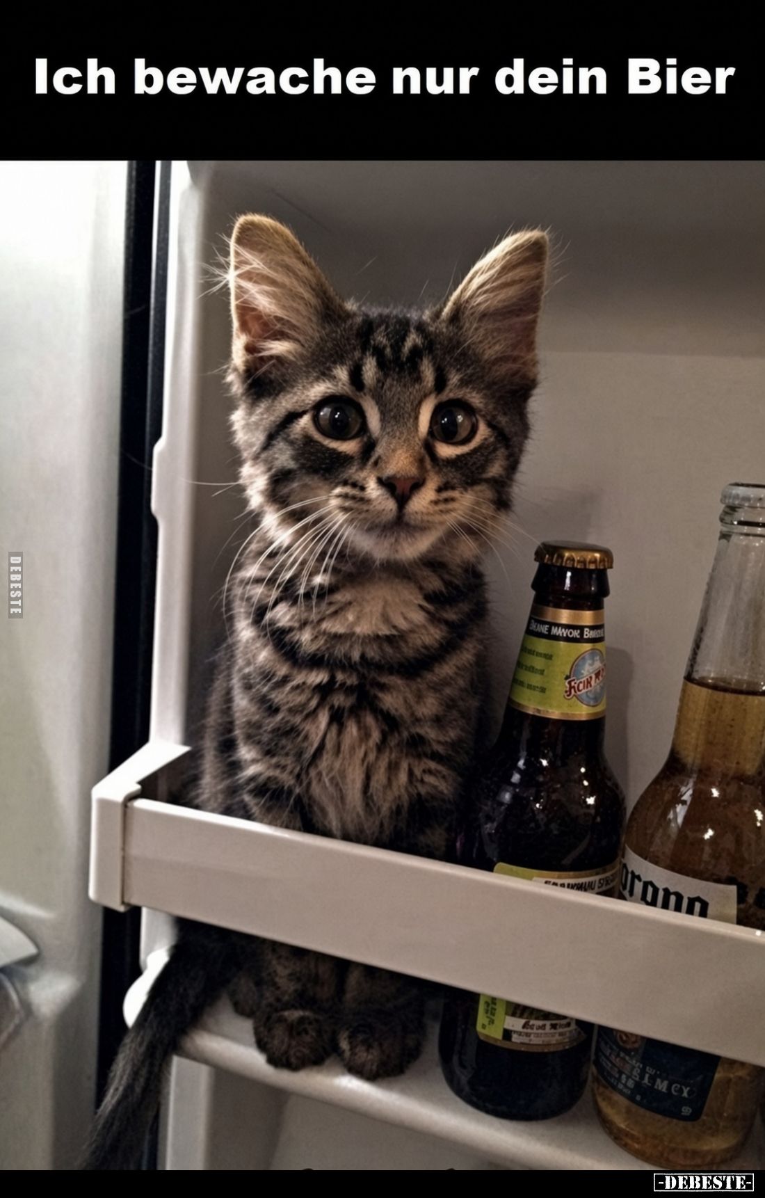 Ich bewache nur dein Bier