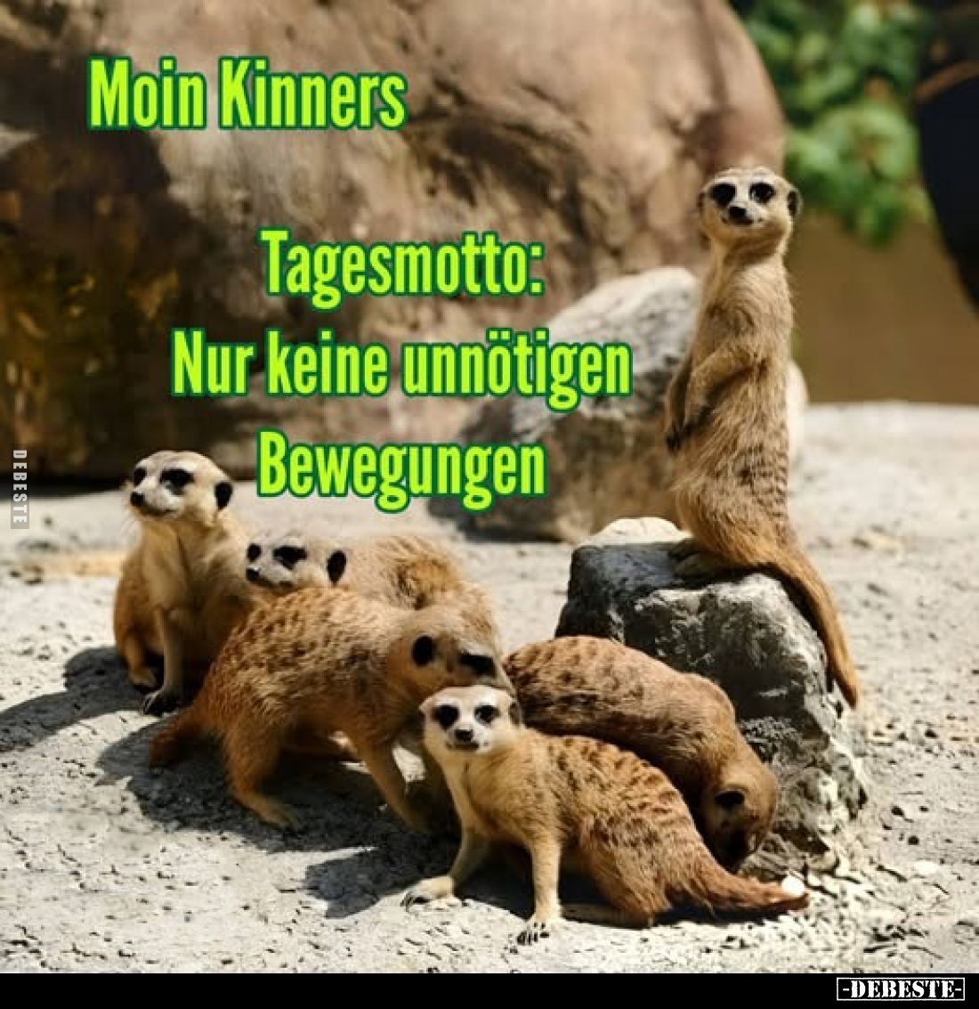 Moin Kinners
Tagesmotto: Nur keine unnötigen Bewegungen