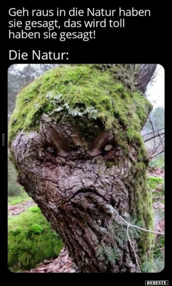 Geh raus in die Natur haben sie gesagt.. - Lustige Bilder | DEBESTE.de