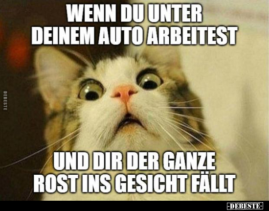 Wenn, Auto, Gesicht, Fällt