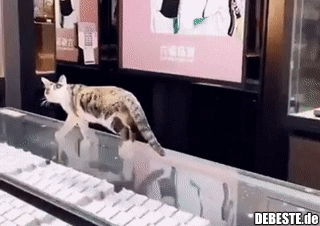 Hoffentlich hat das niemand gesehen..