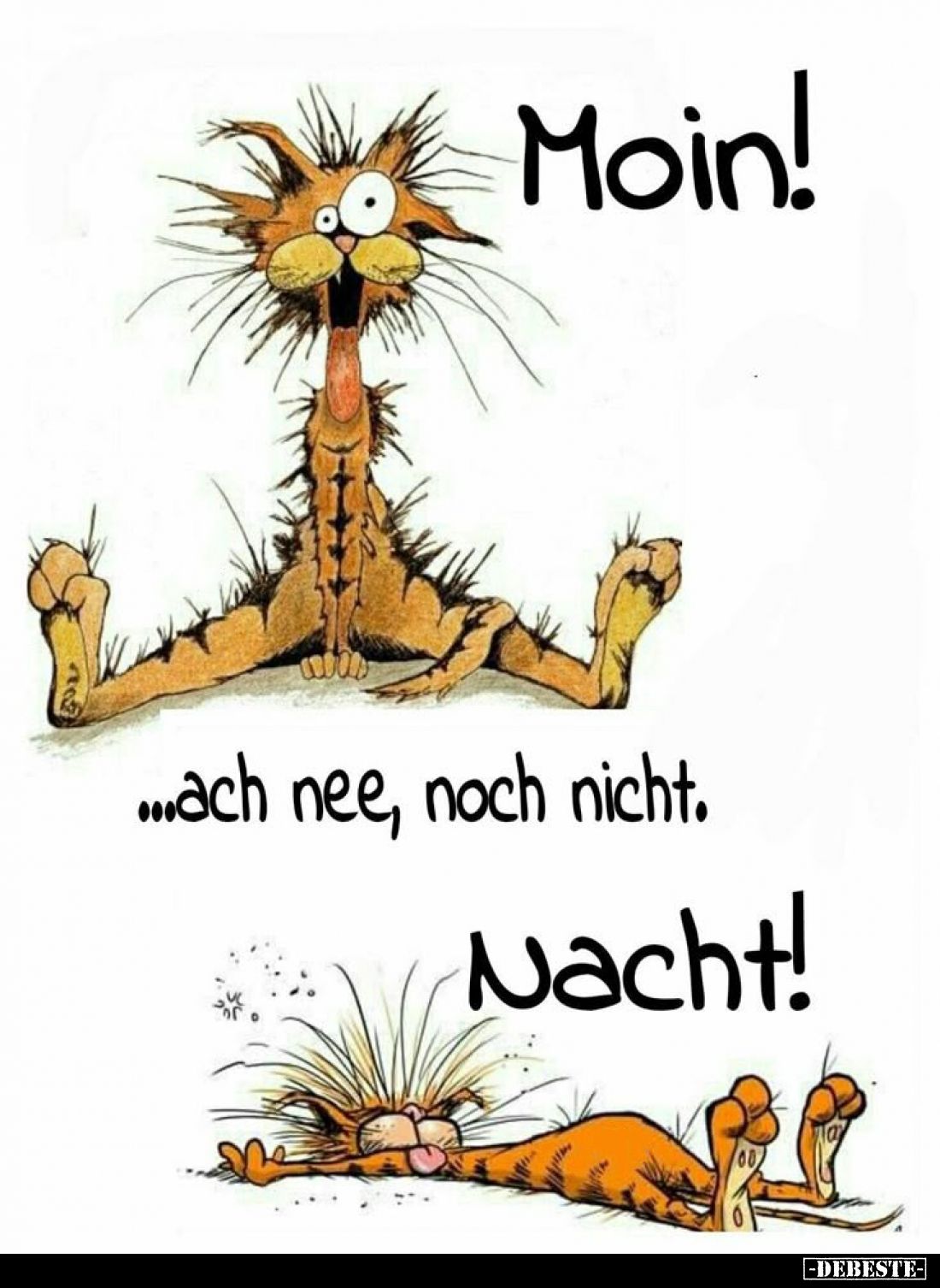 Moin! Ach nee, noch nicht. Nacht!