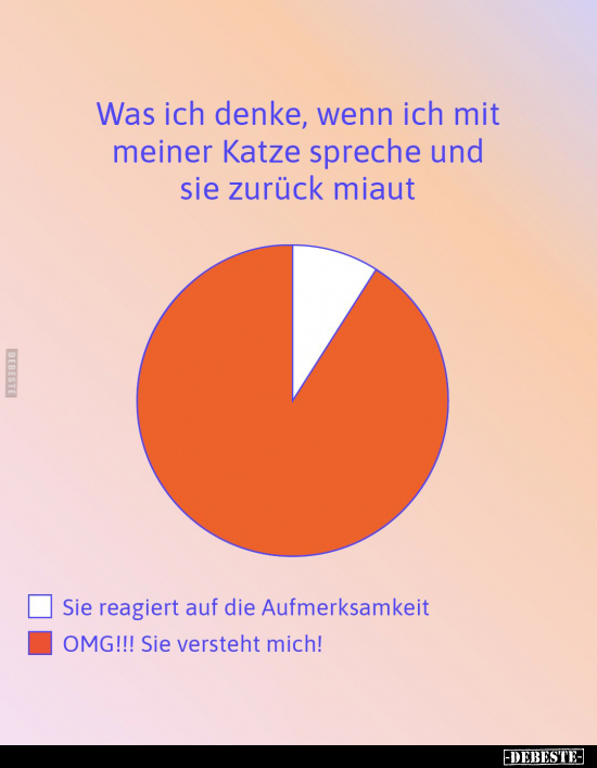 Was ich denke, wenn ich mit meiner Katze spreche und sie zurück miaut