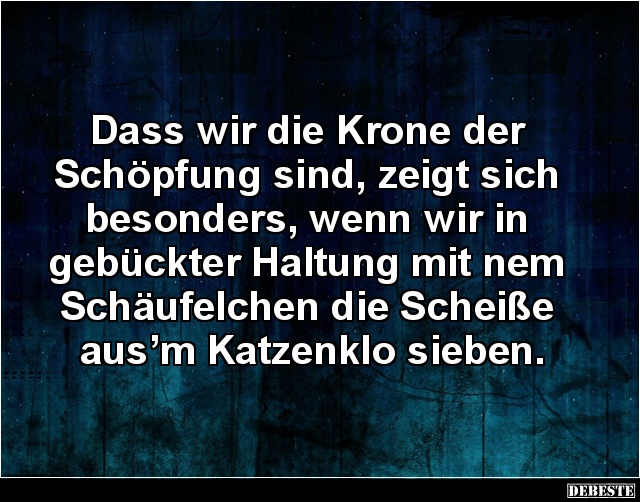 Dass wir die Krone der Schöpfung sind, zeigt sich besonders.. - Lustige Bilder | DEBESTE.de