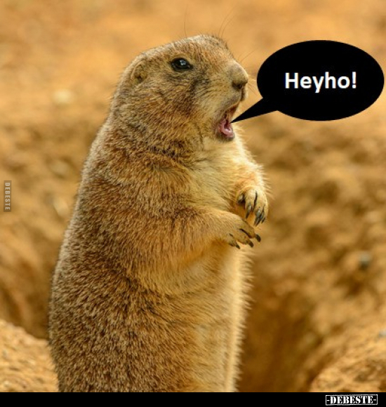 Heyho!