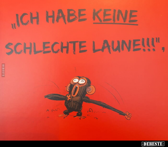 "Ich habe keine schlechte Laune!!!".. - Lustige Bilder | DEBESTE.de