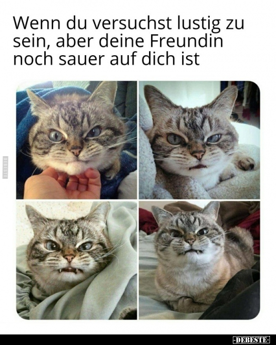 Wenn du versuchst lustig zu sein, aber deine Freundin noch.. - Lustige Bilder | DEBESTE.de