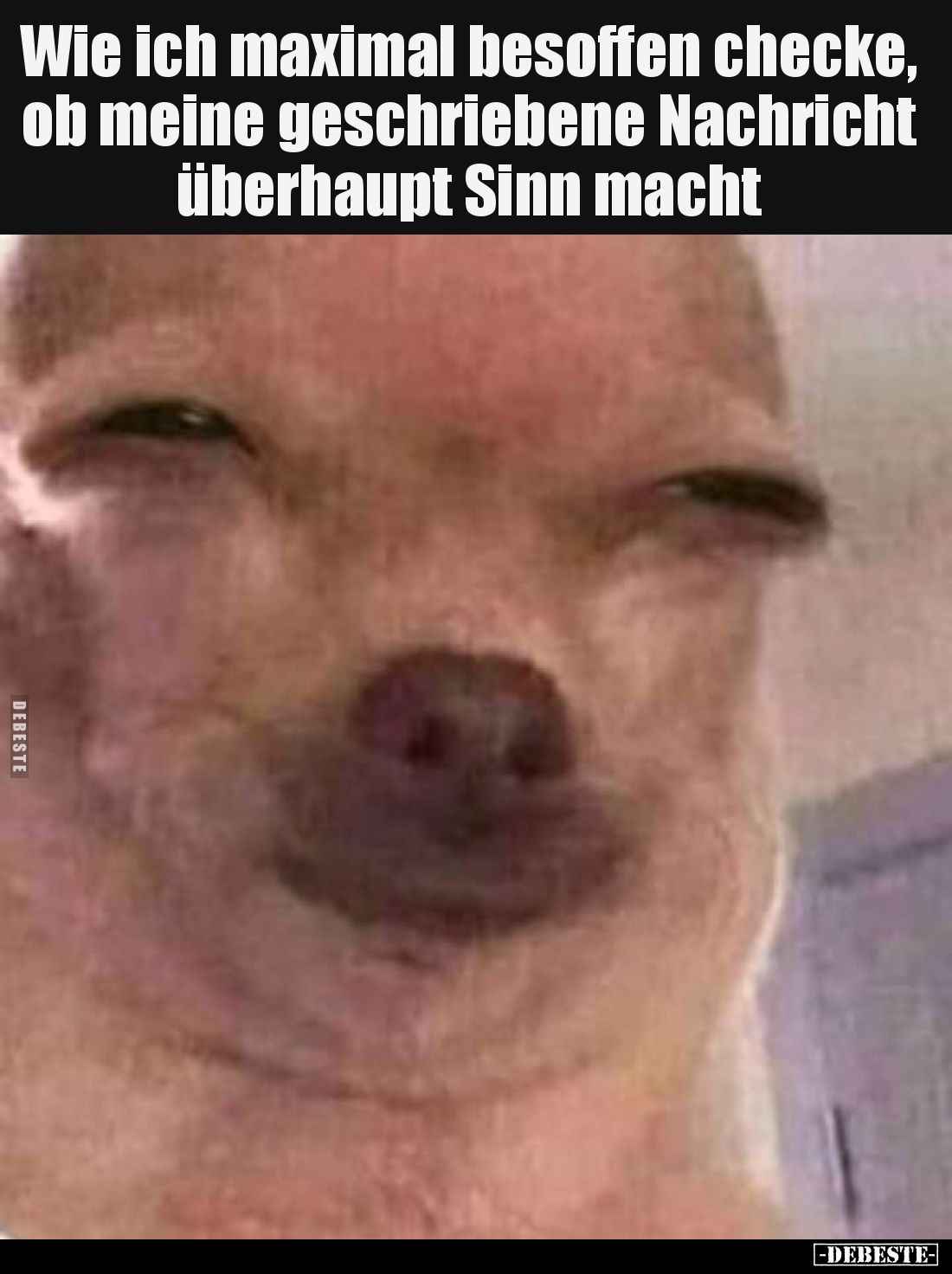 Wie ich maximal besoffen checke, ob meine geschriebene Nachricht überhaupt Sinn macht