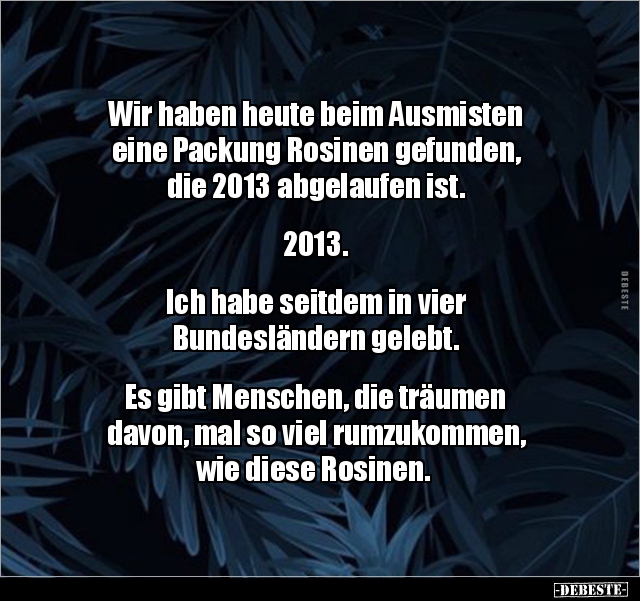 Wir haben heute beim Ausmisten eine Packung Rosinen.. - Lustige Bilder | DEBESTE.de
