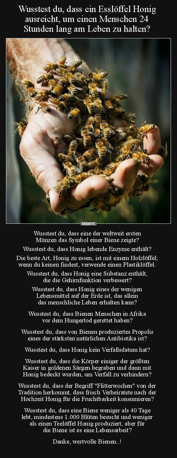 Wusstest du, dass ein Esslöffel Honig ausreicht.. - Lustige Bilder | DEBESTE.de