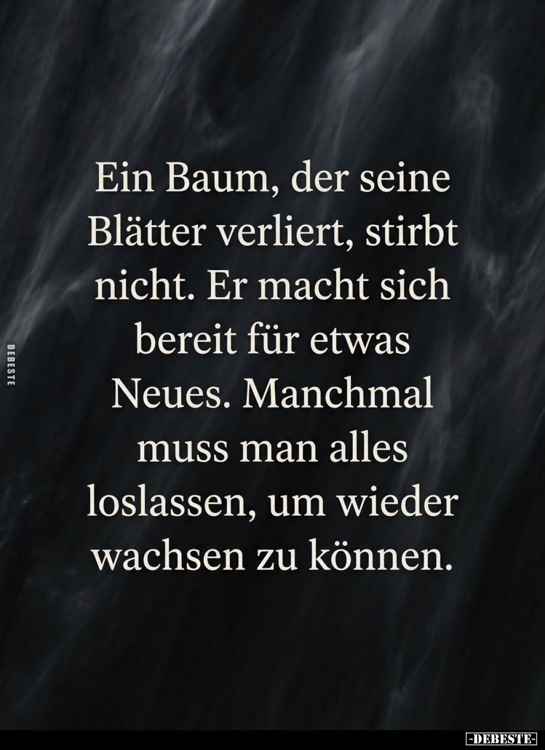 Ein Baum, der seine
Blätter verliert, stirbt
nicht. Er macht sich
bereit für etwas
Neues. Manchmal
muss man alles
losla...