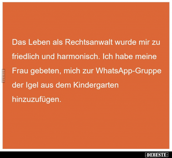 Das Leben als Rechtsanwalt wurde mir zu friedlich und.. - Lustige Bilder | DEBESTE.de