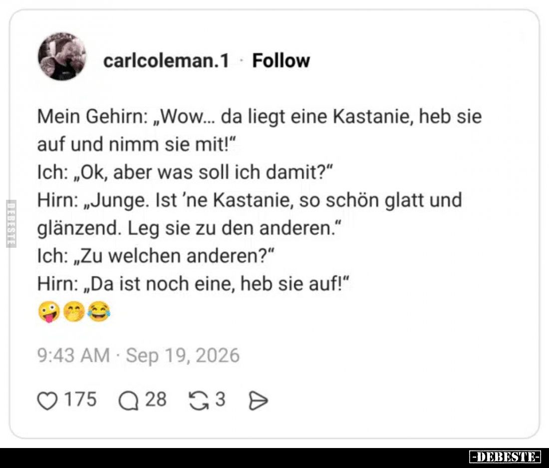 Mein Gehirn: „Wow... da liegt eine Kastanie, heb sie auf und nimm sie mit!“
Ich: „Ok, aber was soll ich damit?“
Hirn: „Jung...