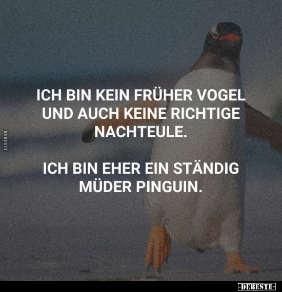 Ich bin kein früher Vogel und auch keine.. - Lustige Bilder | DEBESTE.de