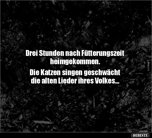 Drei Stunden nach Fütterungszeit heimgekommen.. - Lustige Bilder | DEBESTE.de