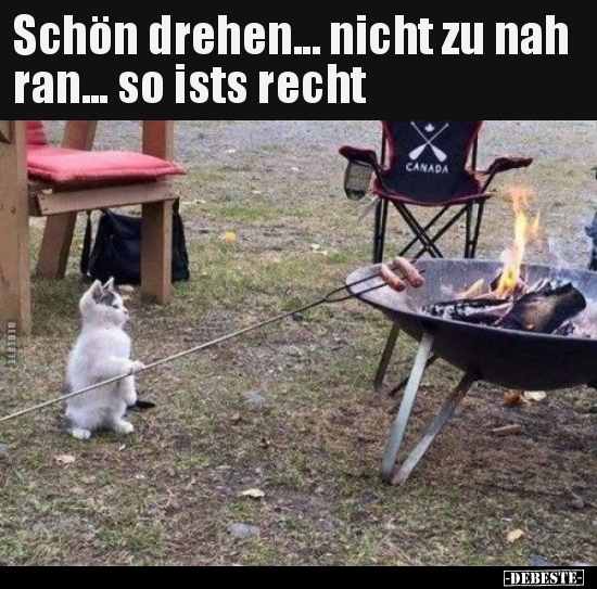 Schön drehen... nicht zu nah ran... so ists recht