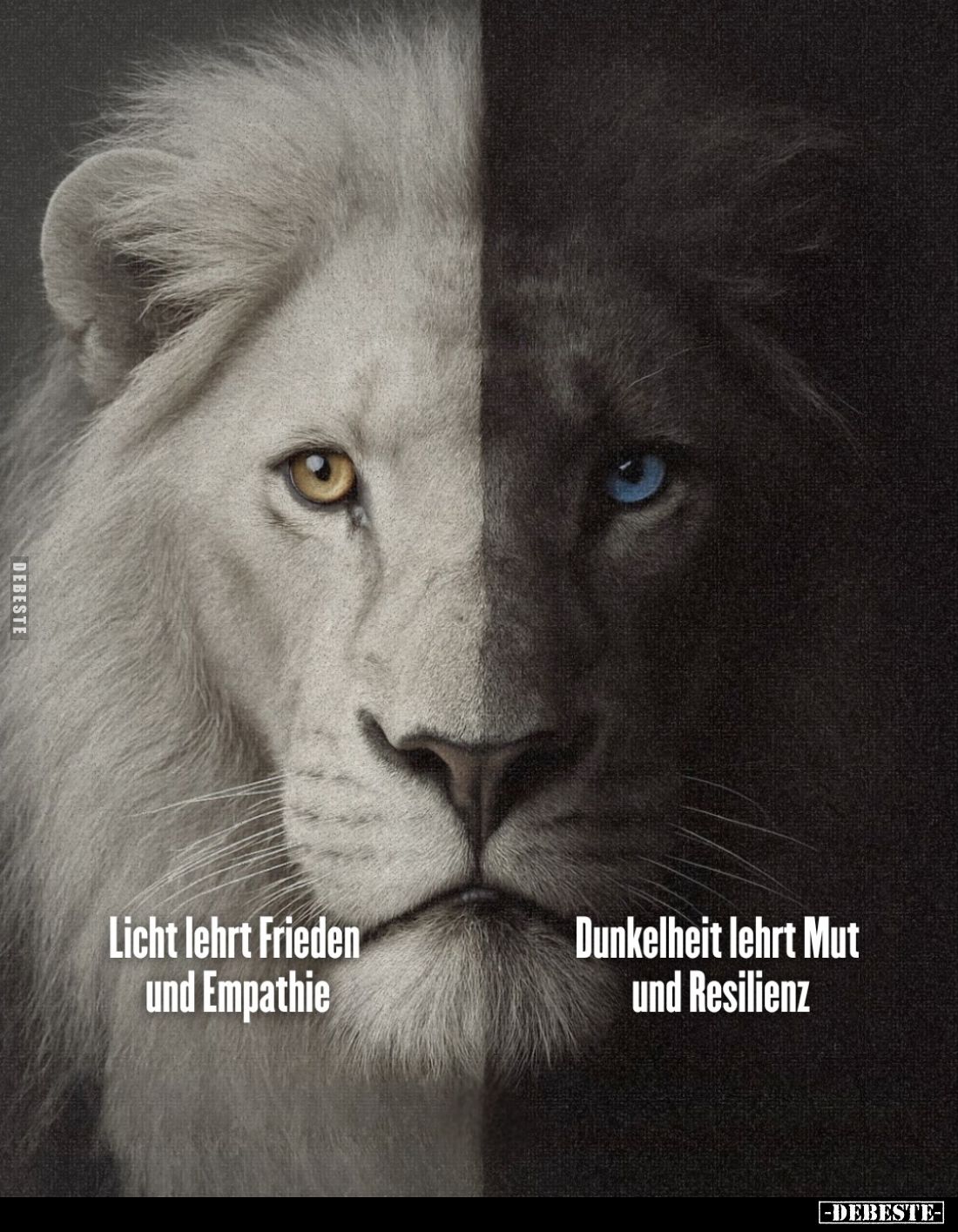 Licht lehrt Frieden und Empathie. Dunkelheit lehrt Mut und Resilienz.