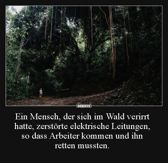 Ein Mensch, der sich im Wald verirrt hatte, zerstörte.. - Lustige Bilder | DEBESTE.de