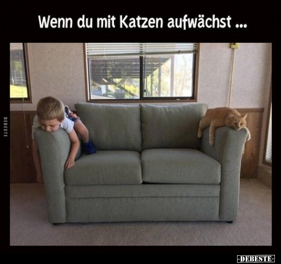 Wenn du mit Katzen aufwächst... - Lustige Bilder | DEBESTE.de
