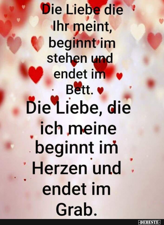 Die Liebe die Ihr meint, beginnt im stehen und endet im Bett.. - Lustige Bilder | DEBESTE.de