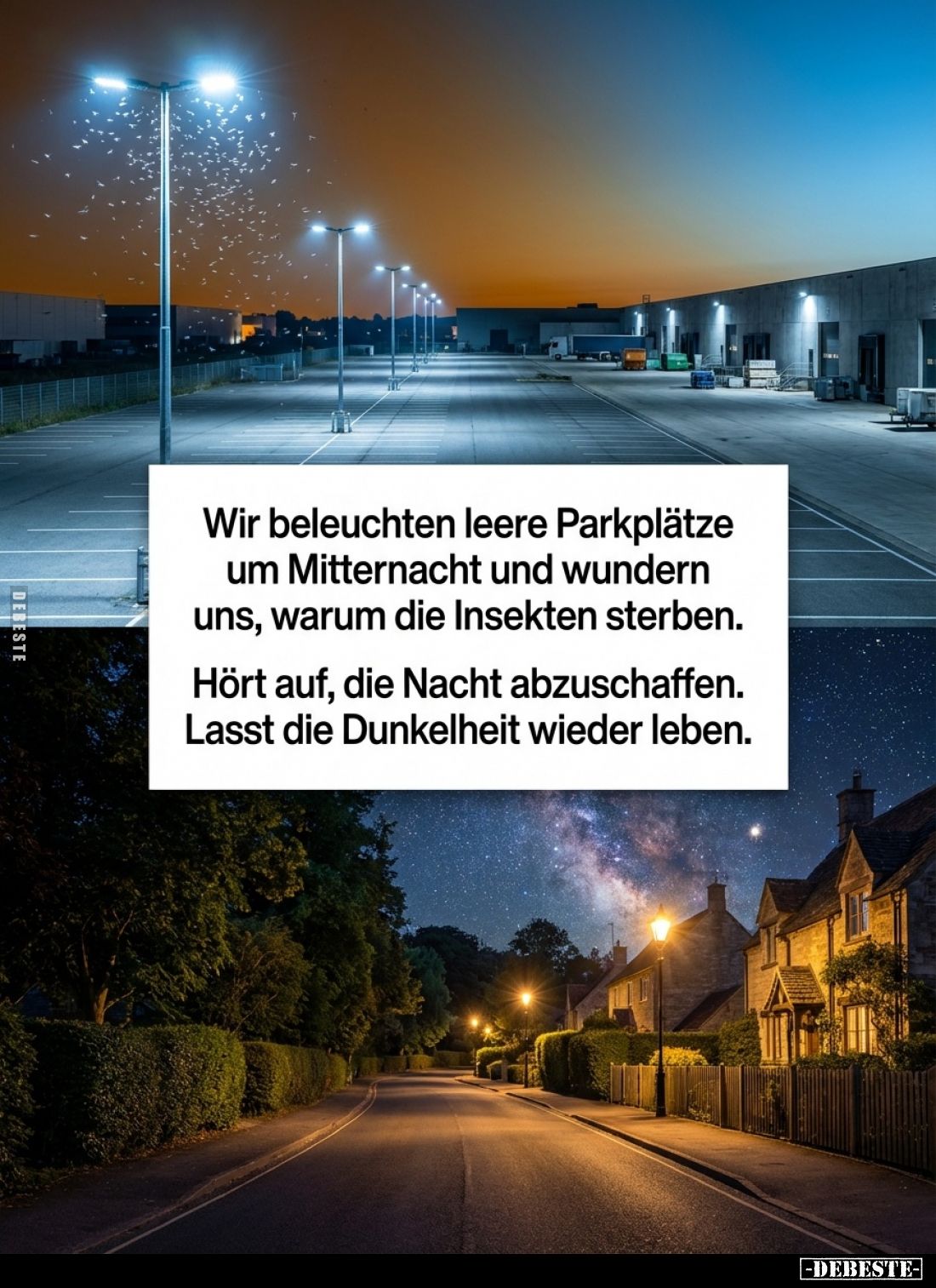 Wir beleuchten leere Parkplätze um Mitternacht und wundern uns, warum die Insekten sterben.
Hört auf, die Nacht abzuschaffen...