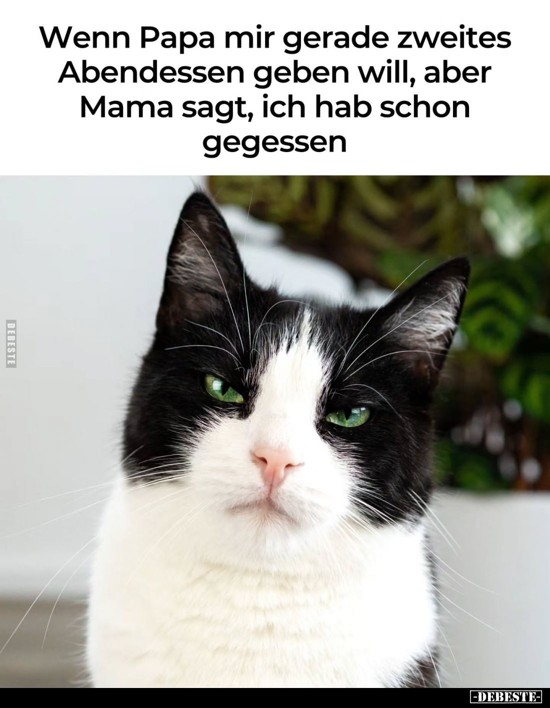 Wenn Papa mir gerade zweites
Abendessen geben will, aber Mama sagt, ich hab schon gegessen