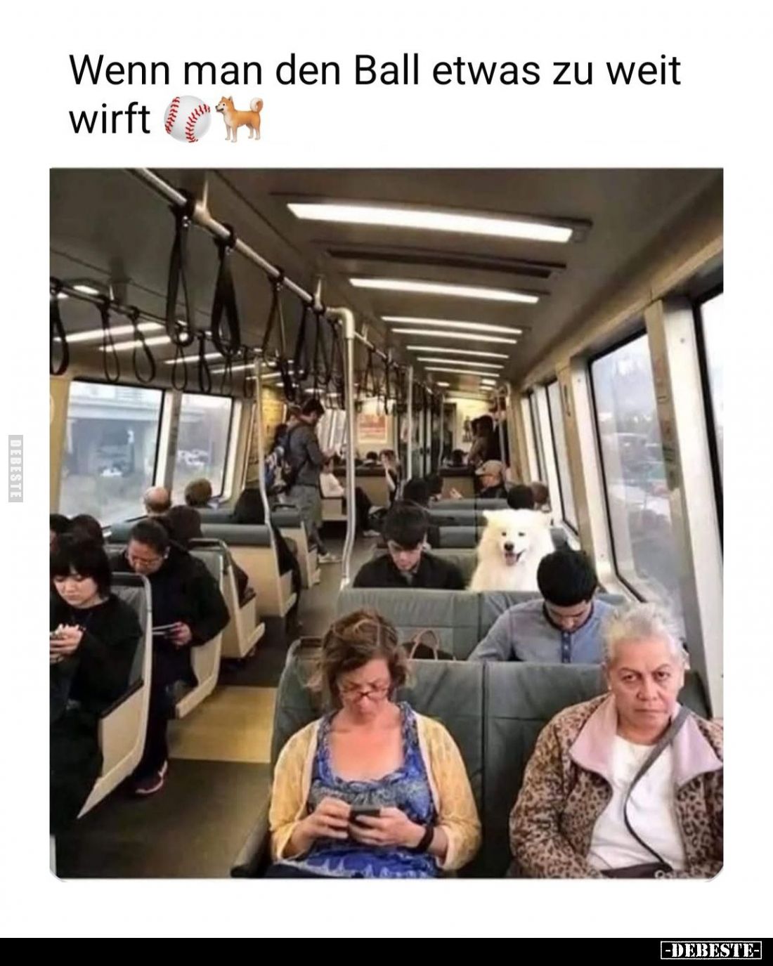 Wenn man den Ball etwas zu weit wirft.