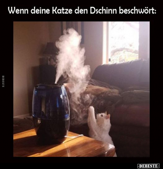 Wenn deine Katze den Dschinn beschwört.. - Lustige Bilder | DEBESTE.de