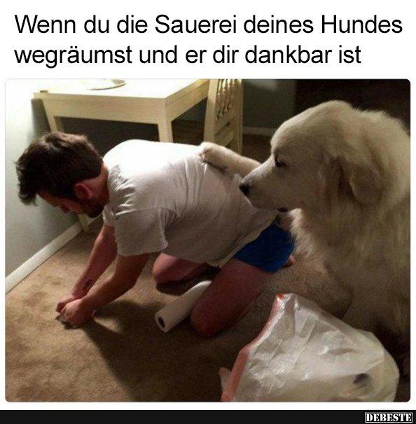 Wenn du die Sauerei deines Hundes wegräumst und..