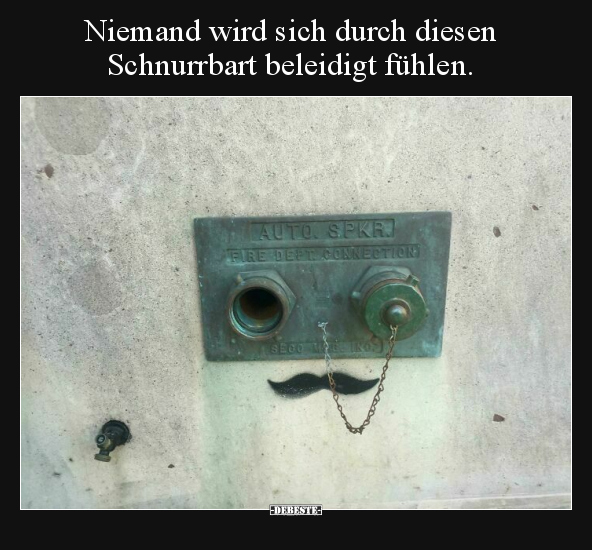 Niemand wird sich durch diesen Schnurrbart beleidigt.. - Lustige Bilder | DEBESTE.de
