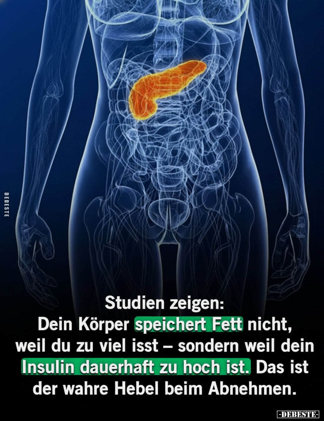 Studien zeigen:
Dein Körper speichert Fett nicht, weil du zu viel isst – sondern weil dein Insulin dauerhaft zu hoch ist. Da...