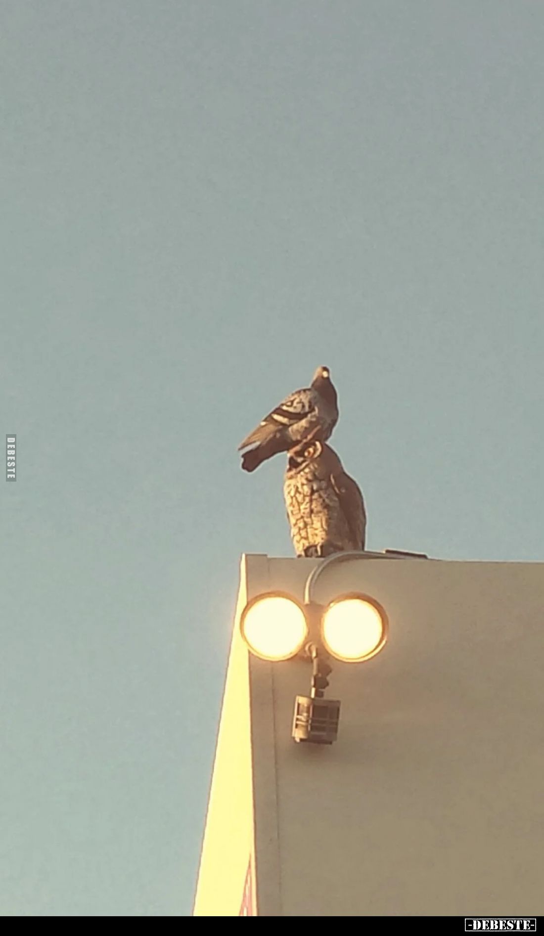  - Lustige Bilder | DEBESTE.de