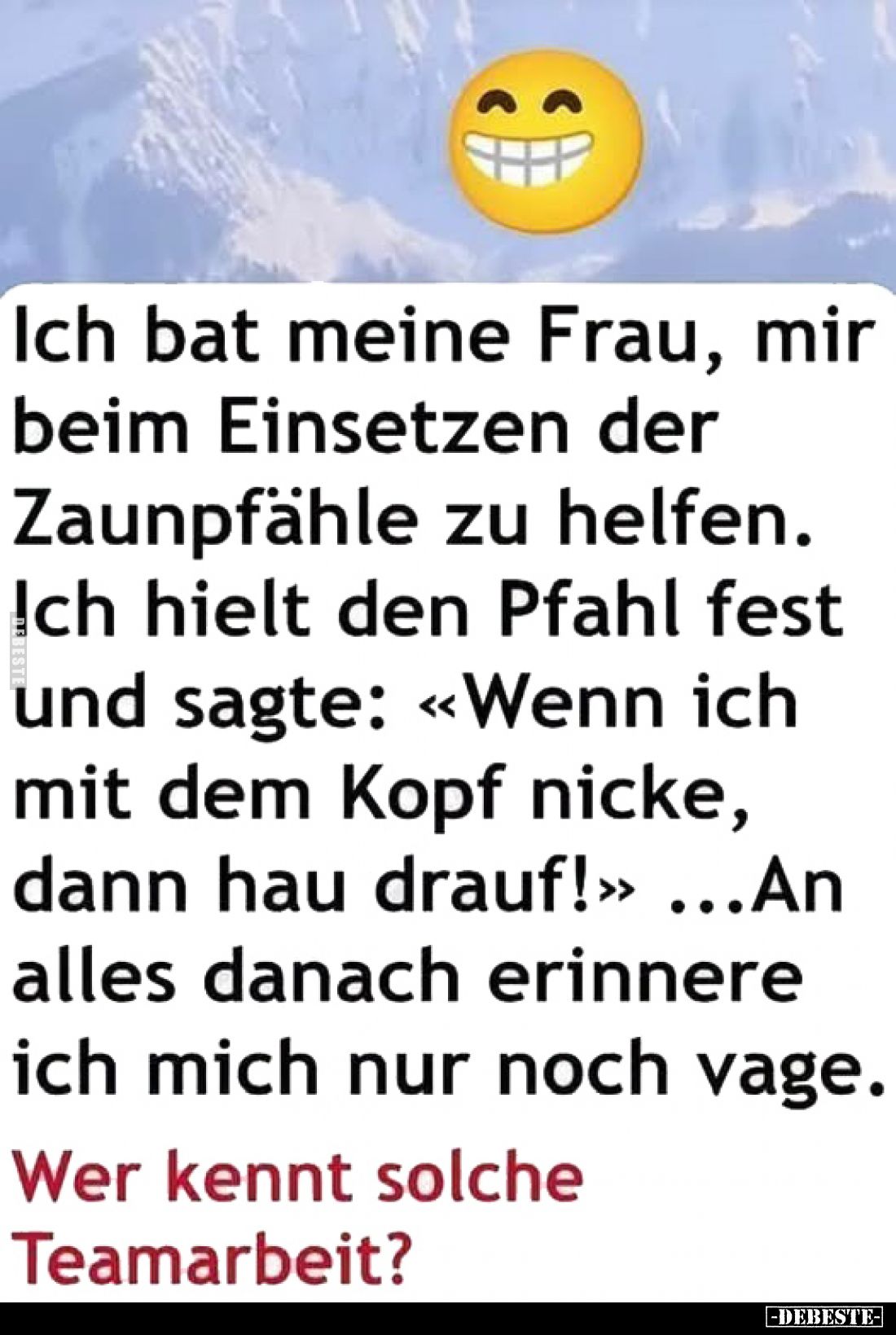 Ich bat meine Frau, mir beim Einsetzen der Zaunpfähle zu helfen.
Ich hielt den Pfahl fest und sagte: «Wenn ich mit dem Kopf ...