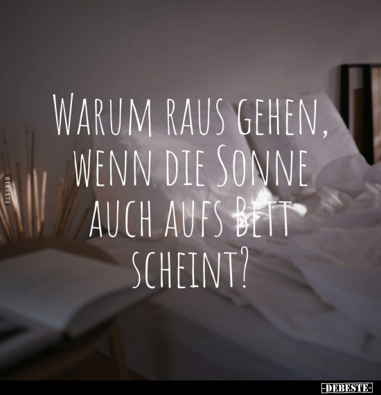 Warum raus gehen, wenn die Sonne auch aufs Bett scheint?..