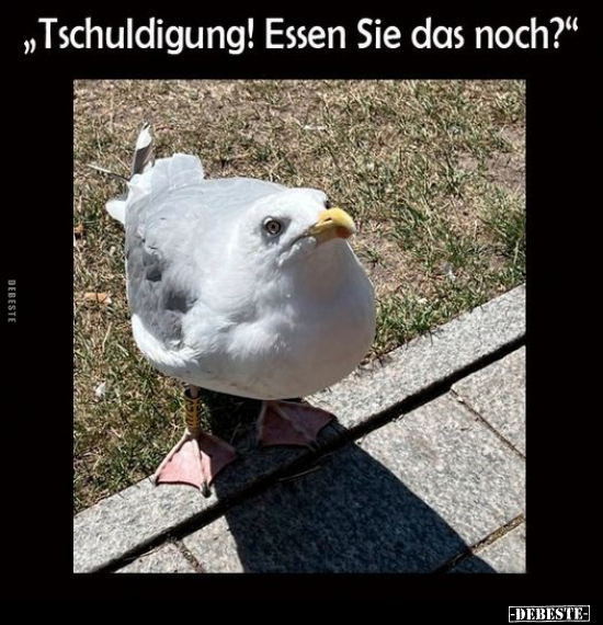 "Tschuldigung!.." - Lustige Bilder | DEBESTE.de