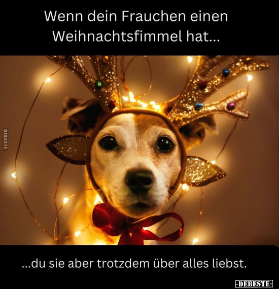 Wenn dein Frauchen einen Weihnachtsfimmel hat.. - Lustige Bilder | DEBESTE.de
