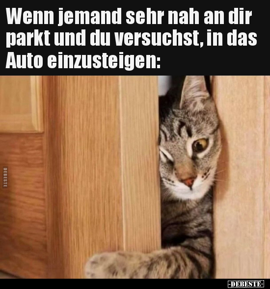 Wenn jemand sehr nah an dir parkt und du versuchst, in das..
