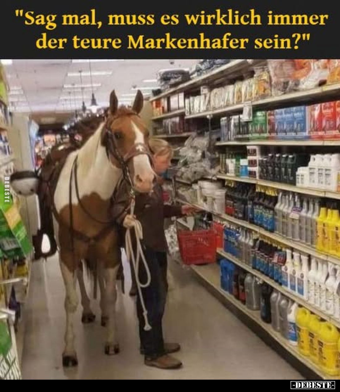 "Sag mal, muss es wirklich immer der teure Markenhafer sein?".. - Lustige Bilder | DEBESTE.de