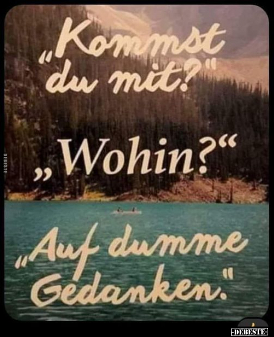 Kommst du mit?.. - Lustige Bilder | DEBESTE.de