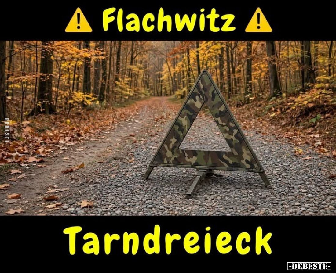 Flachwitz
-
Tarndreieck